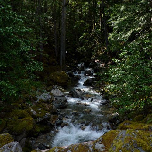 Park Creek Trail