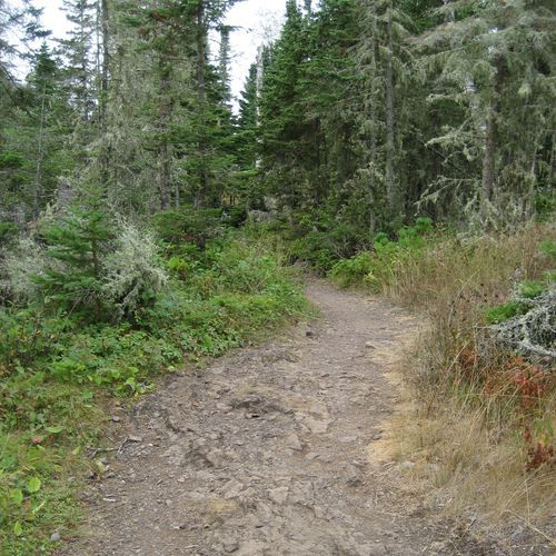 Mount Ojibway Trail