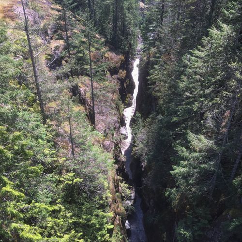 Middle Steven's Creek Falls