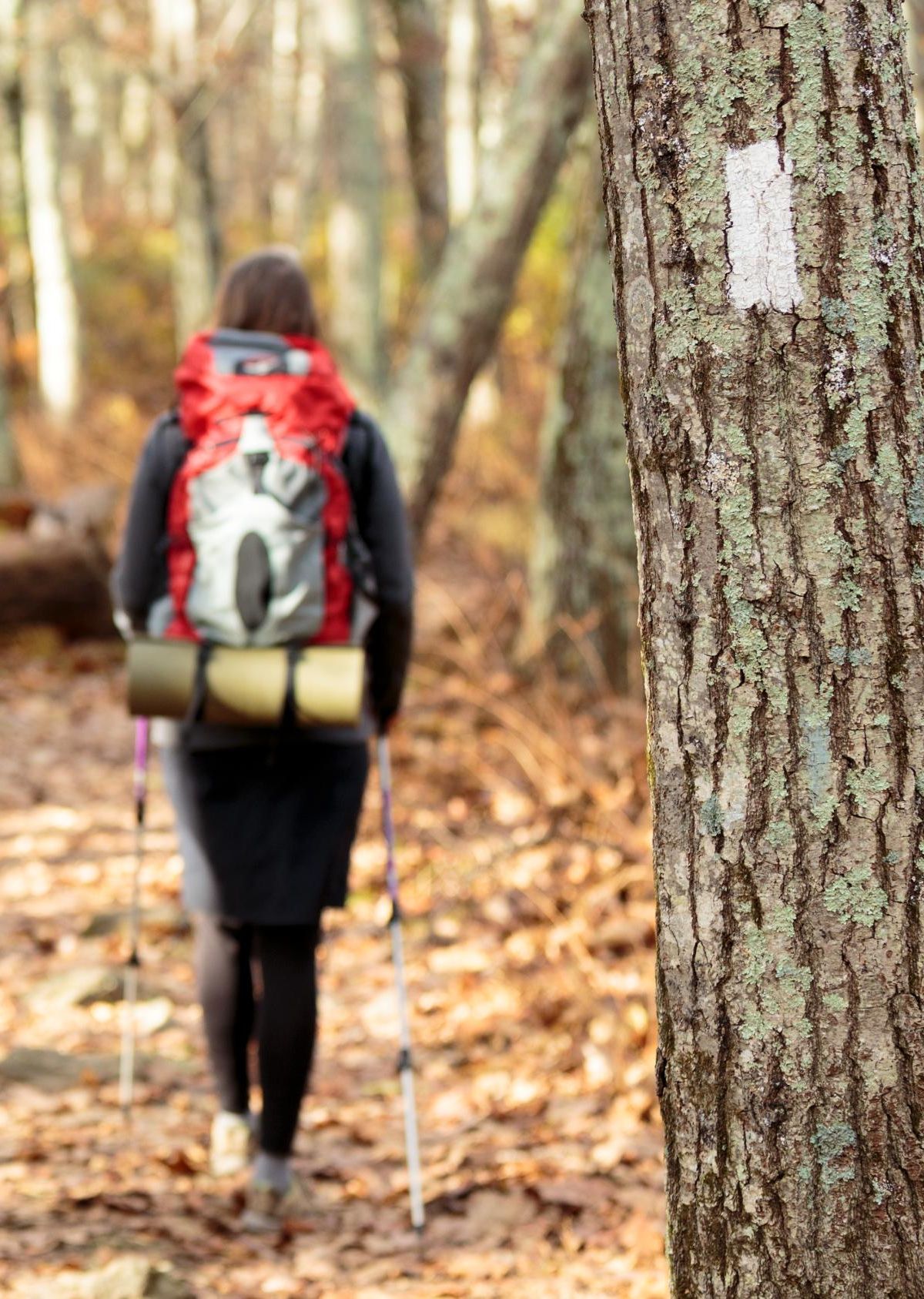 Appalachian Trail Access, Shenandoah National Park