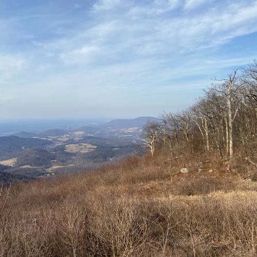 Gimlet Ridge Overlook