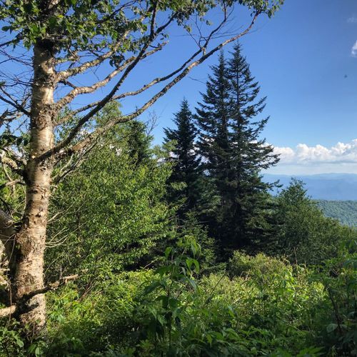Forney Ridge Trail