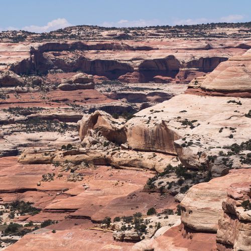 Salt Creek Canyon Trail