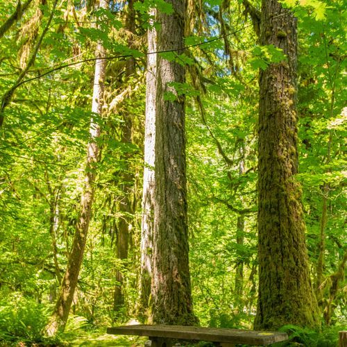 Graves Creek Campground