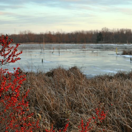 Great Marsh Trail