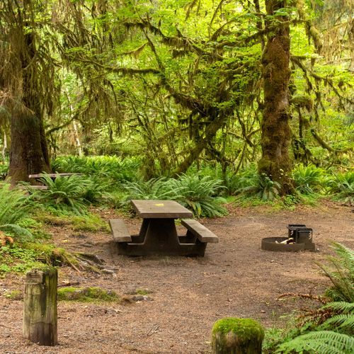 Hoh Campground