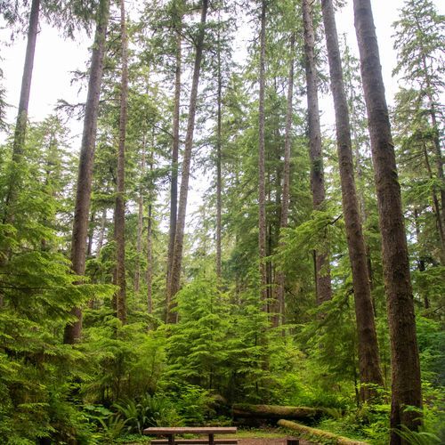 Mora Campground