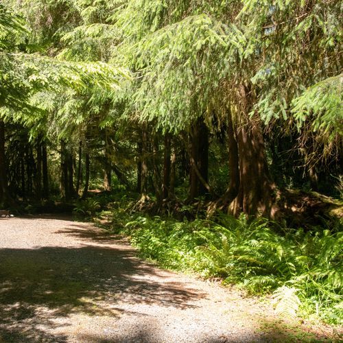 North Fork Campground