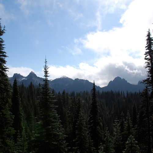 Mazama Ridge Trail