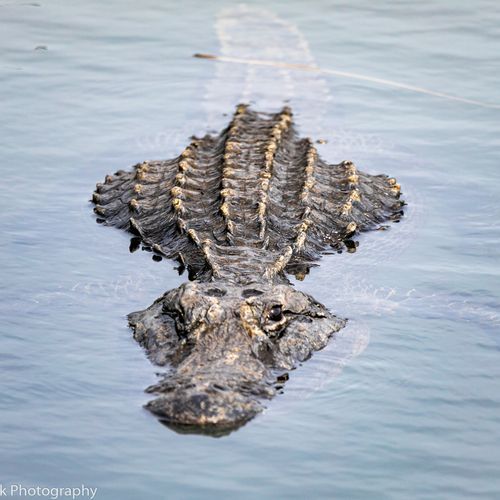Royal Palm Visitor Center