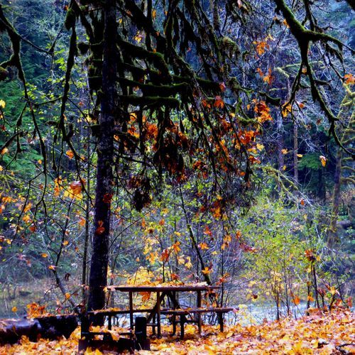 Staircase Campground