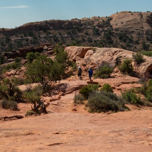 Syncline Loop Trail