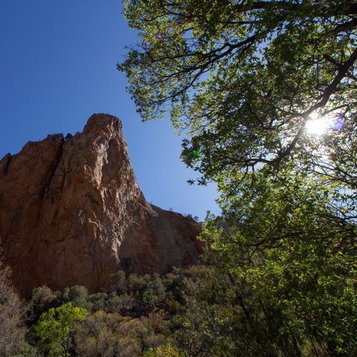 The Window Viewpoint