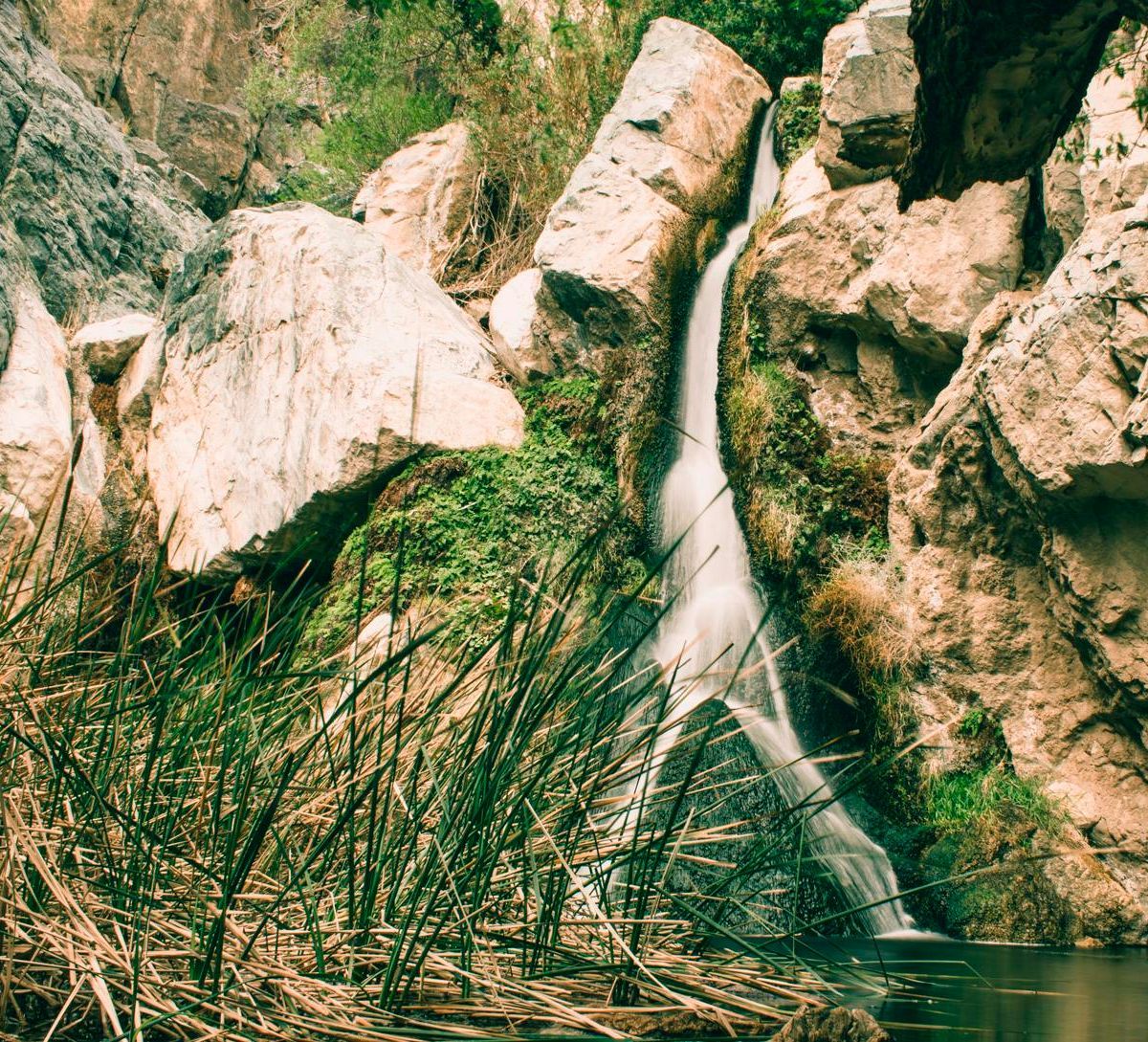 Darwin Falls Trail, Death Valley National Park