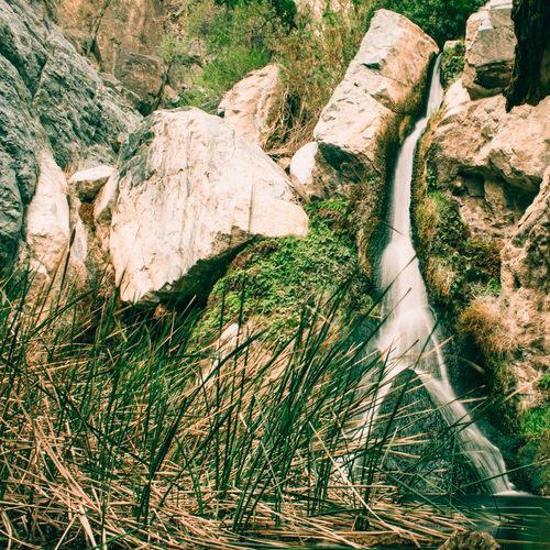 Darwin Falls Trail