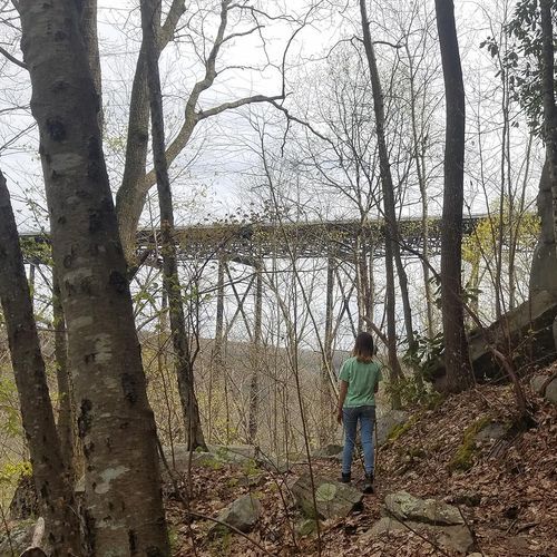 Bridge Trail