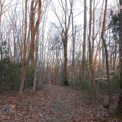 Big Buck Trail