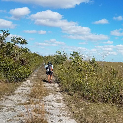 Old Ingraham Highway