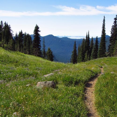 Emerald Ridge Trail