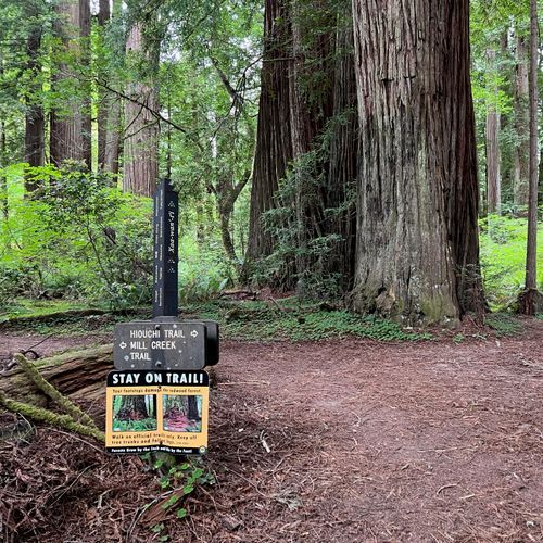 Hiouchi Trail