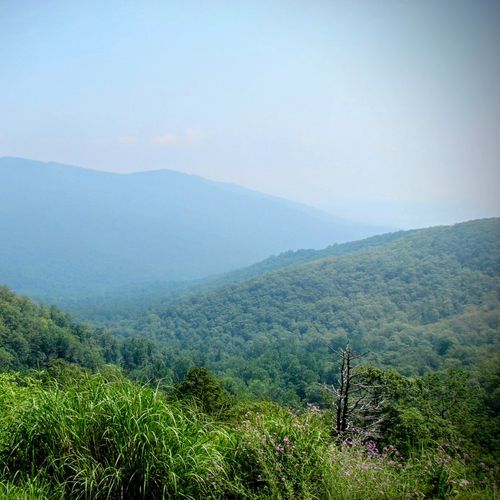 Hazel Mountain Overlook