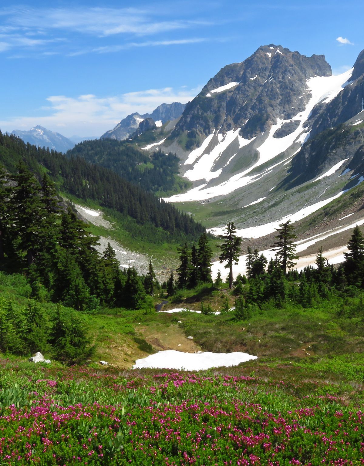 Eight Life Zones, Over 1,600 Plant Species, North Cascades National Park