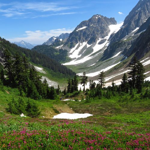 Cascade Pass Trail
