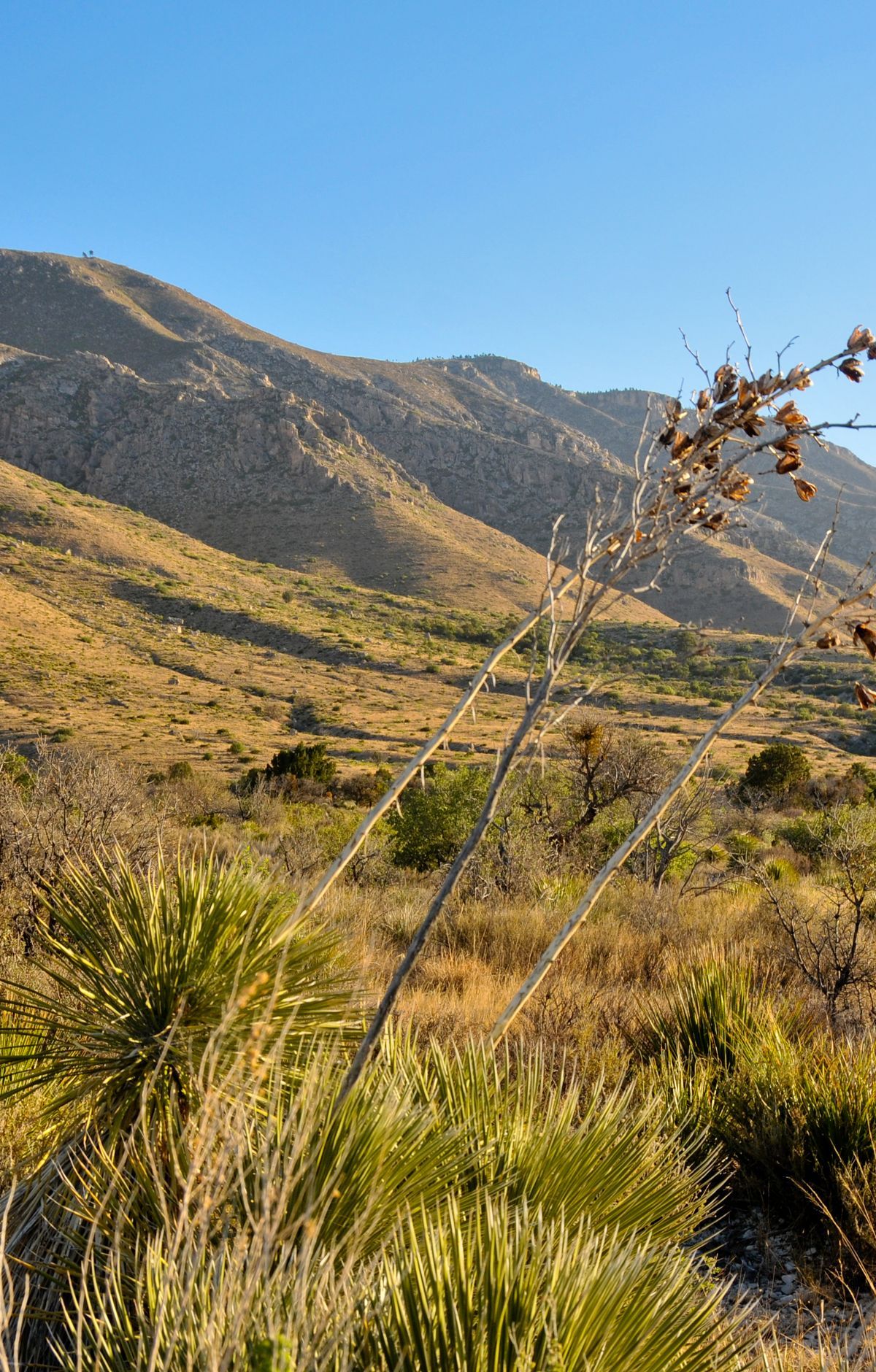 Guadalupe Peak Trail, Guadalupe Mountains National Park