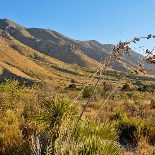 Guadalupe Peak Trail