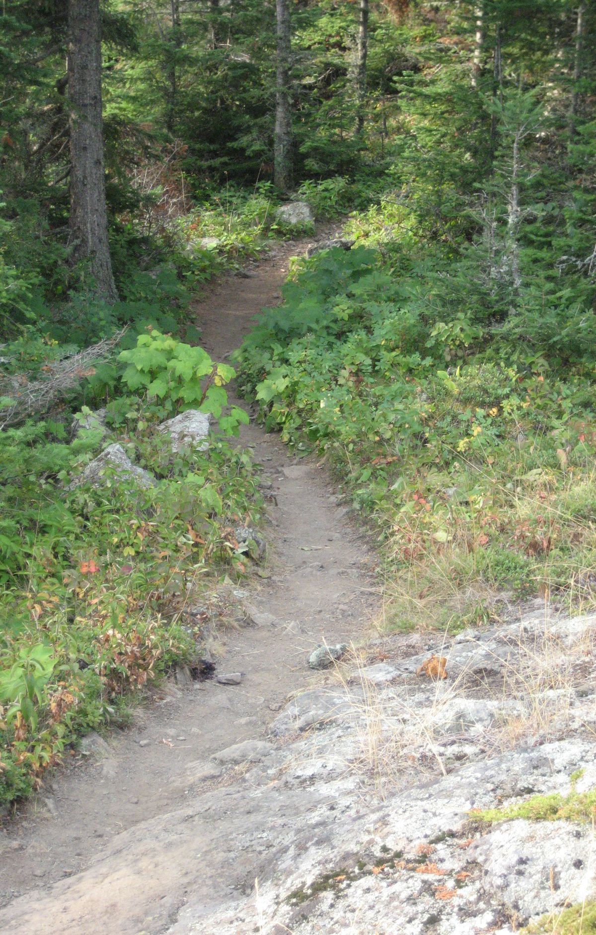 Minong Ridge Trail, Isle Royale National Park
