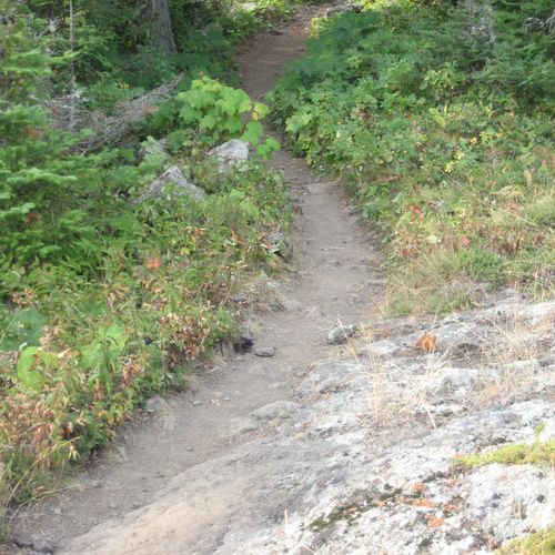 Minong Ridge Trail