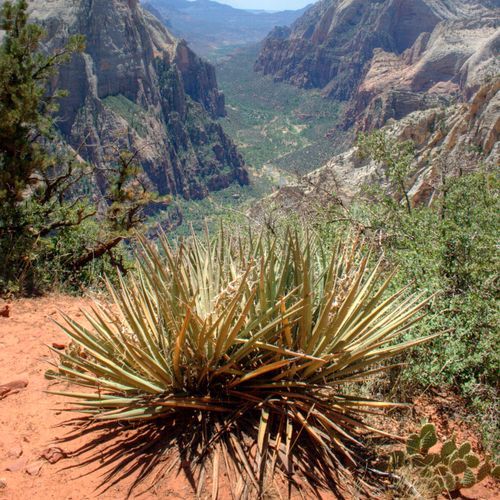 East Rim Trail