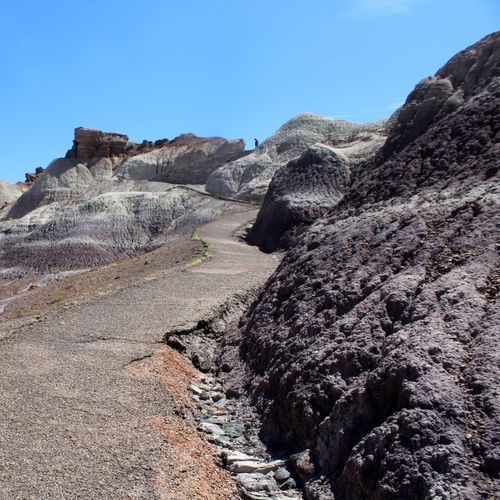 Blue Mesa Trail