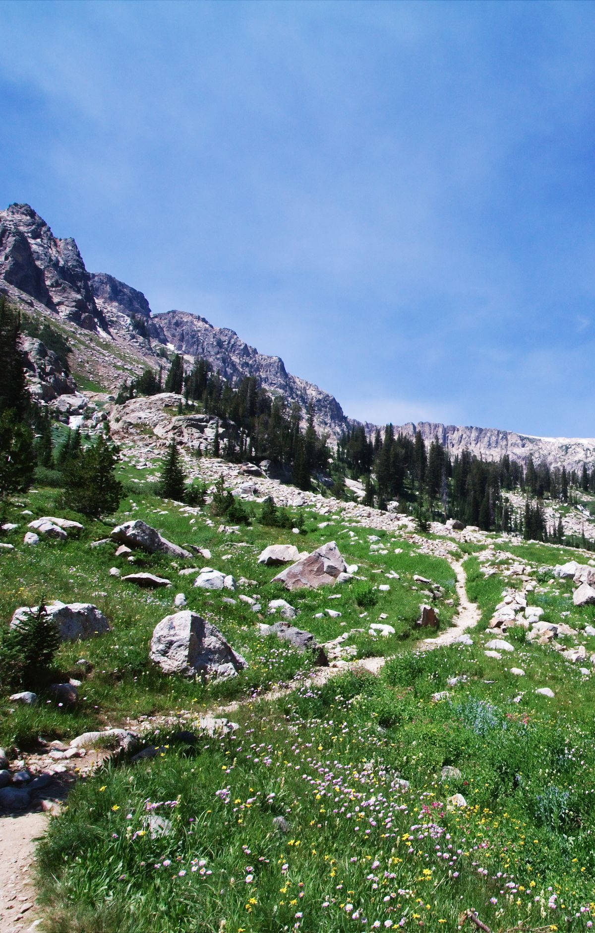 Teton Hiking: 200 Miles, Lakeshores to Mountains, Grand Teton National Park