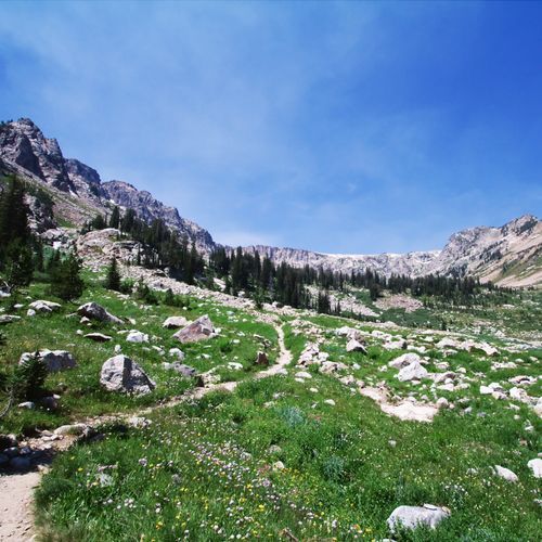 Paintbrush Canyon - Cascade Canyon Loop