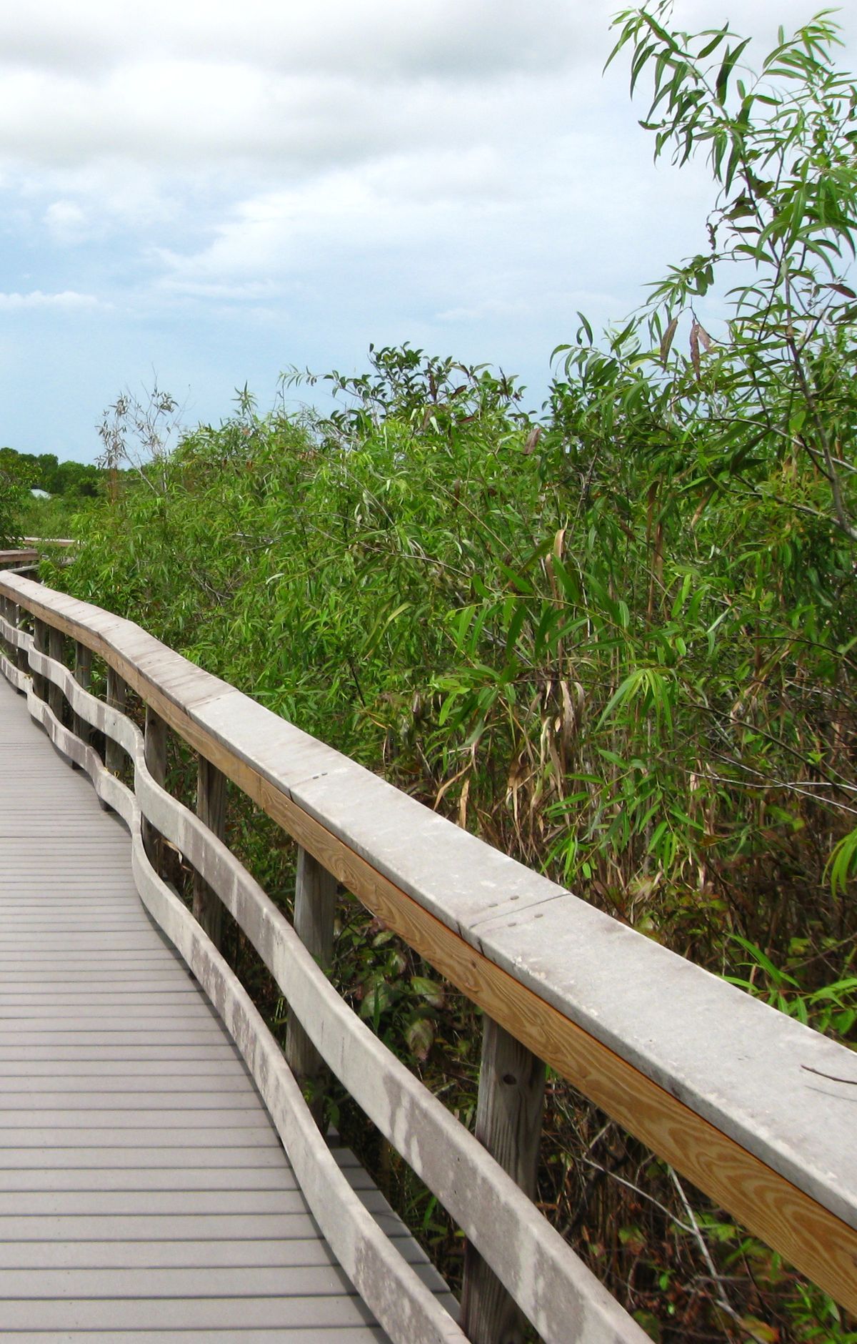 Anhinga Trail, Everglades National Park