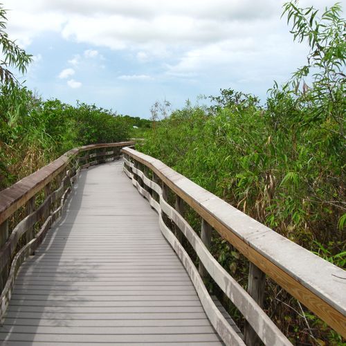 Anhinga Trail
