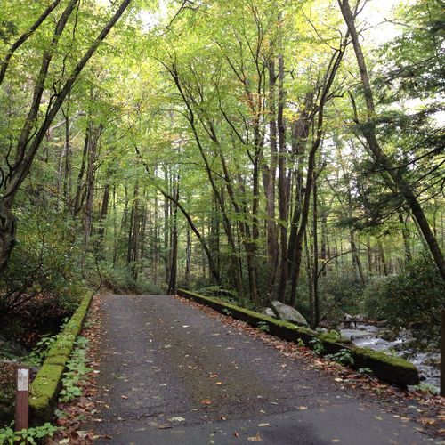 Jonas Creek Trail