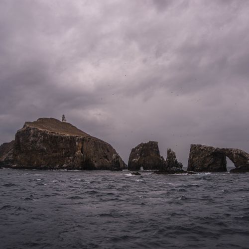 Landing Cove