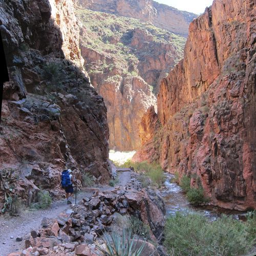 Tapeats Creek Trail