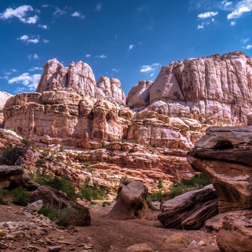 Grand Wash Trail