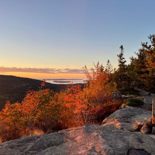 Viewpoint