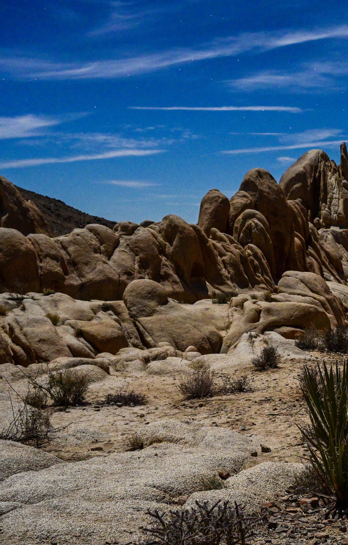 Arch Rock Trail, Joshua Tree National Park