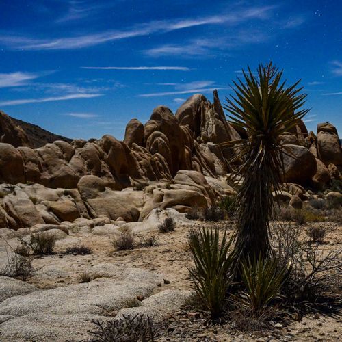 Arch Rock Trail