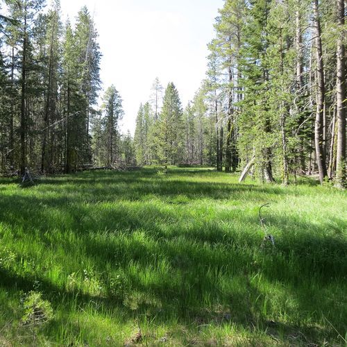 Lily Pond Trail
