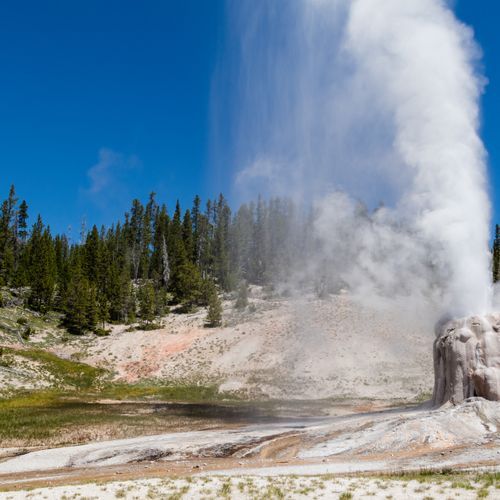 Lone Star Geyser Basin