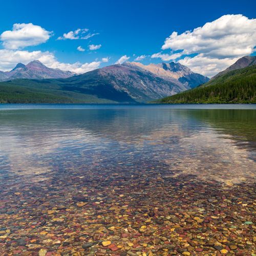 Kintla Lake Head