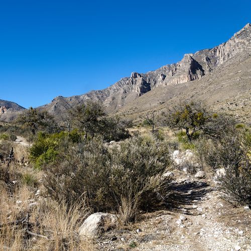 Butterfield Stage Ruins Trail