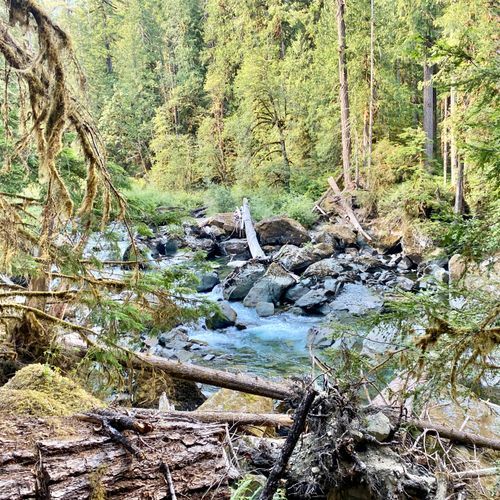 Badger Valley Trail