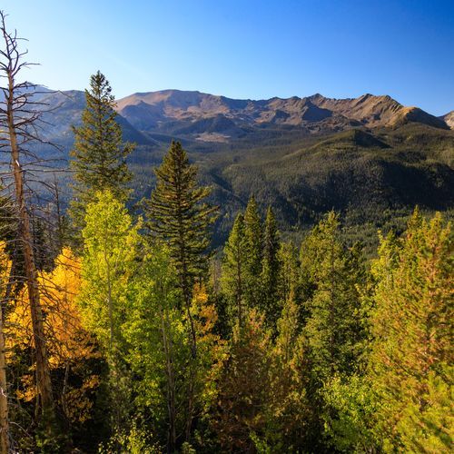 Viewpoint